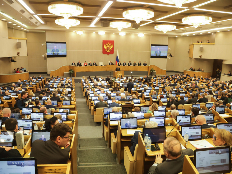 Поправки подготовлены и внесены в Госдуму правительством РФ для поддержки семей с детьми