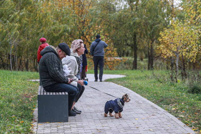 dyhanie-oseni-sinoptik-rasskazala-o-pogode-v-moskve-na-sledujushhej-nedele-ed964e9.jpg