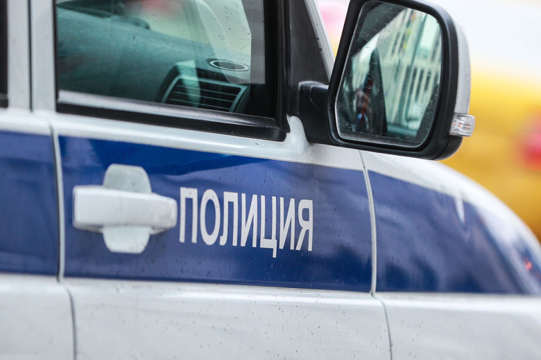 hozjajku-tjurmy-dlja-sobak-zaderzhali-v-podmoskove-fec5ad5.jpg