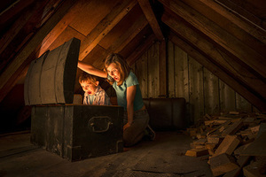 Кто нашел, берет себе Золото, моллюски, скрипка Страдивари и прочие клады, найденные на стройплощадке