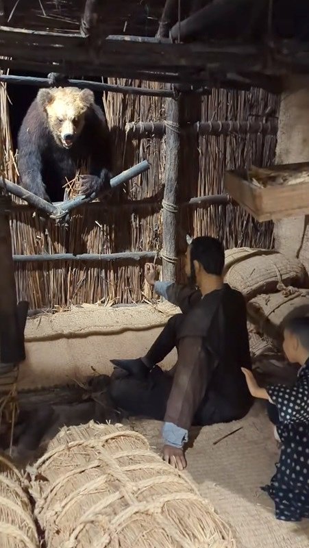 Современная реконструкция нападения Кесагаке